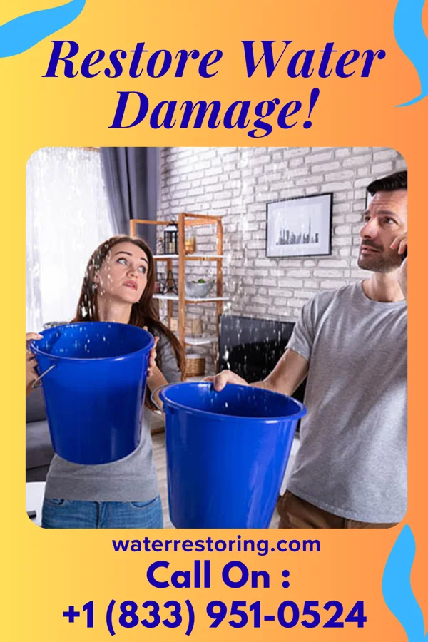 water restoration Reliable Sewage Cleanup Specialists Cokeburg