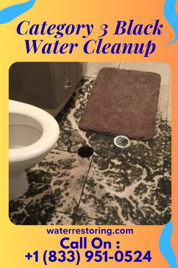 Category 3 Black Water Cleanup in Cokeburg, PA
