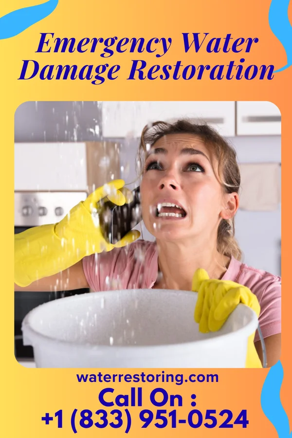 Emergency Water Damage Restoration in Cokeburg, PA