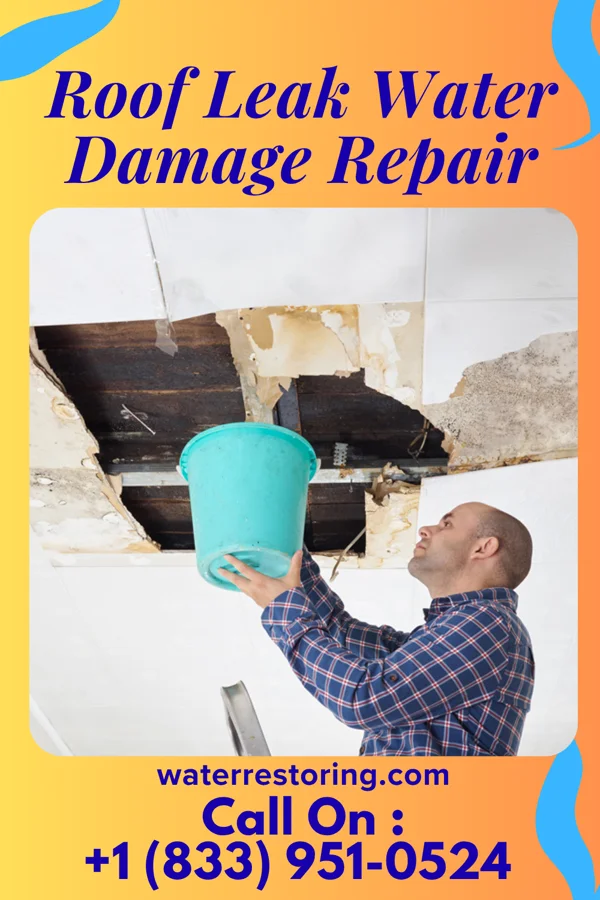 Roof Leak Water Damage Repair in Cokeburg, PA
