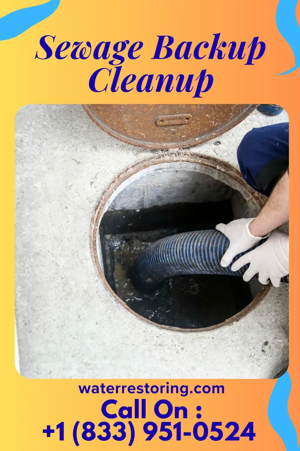 Sewage Backup Cleanup in Cokeburg, PA