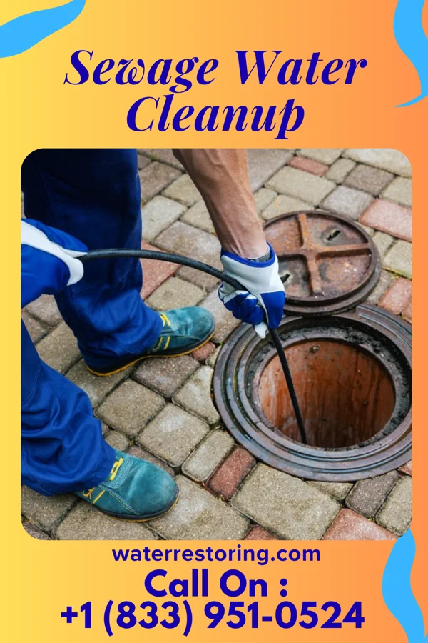Sewage Water Cleanup in Cokeburg, PA